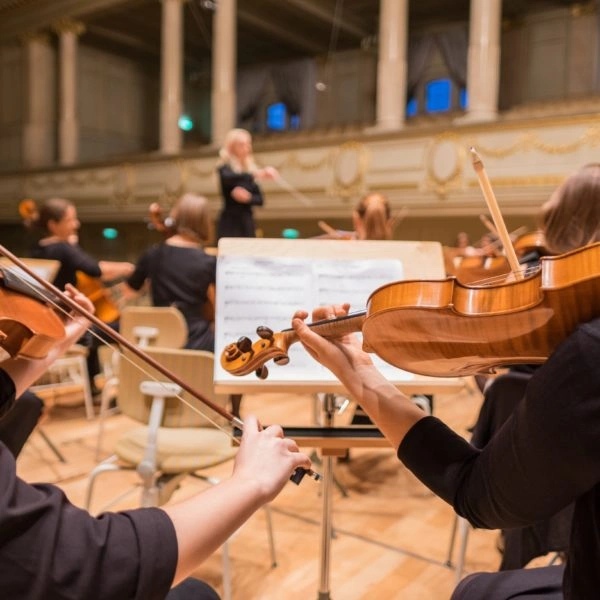 violin