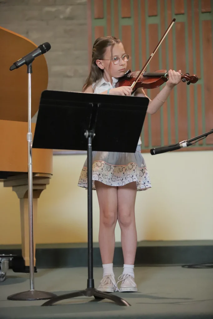 Violin